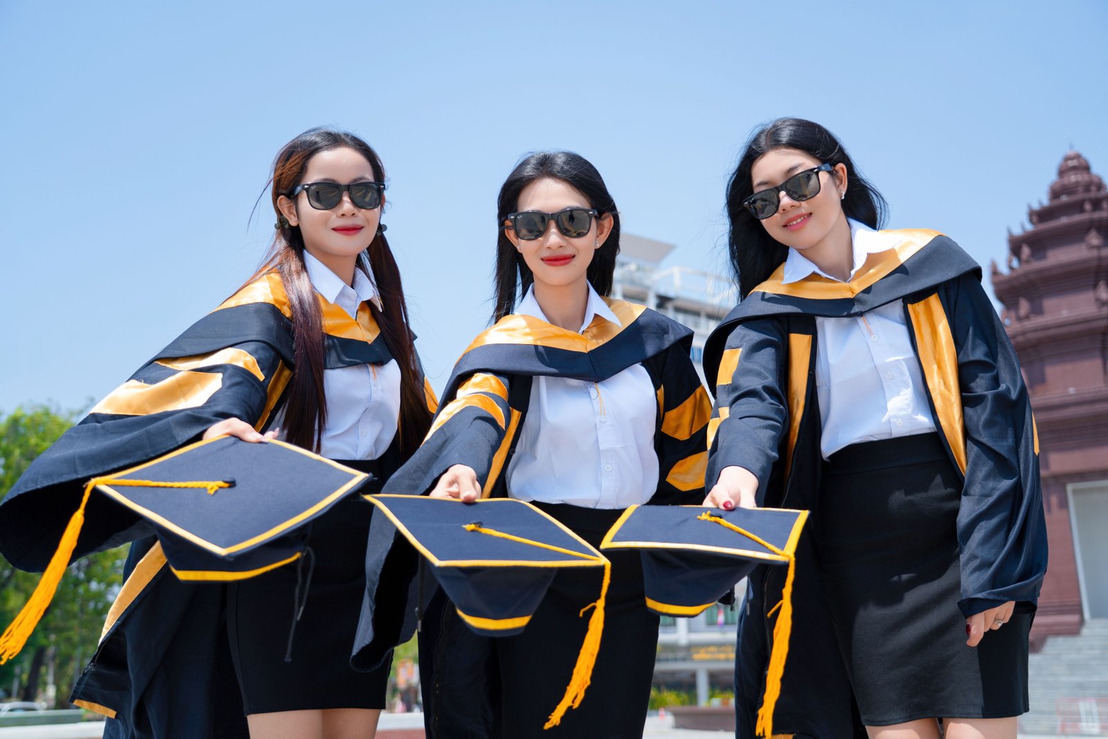 BCOM Sociology Distance Education LPU Punjab